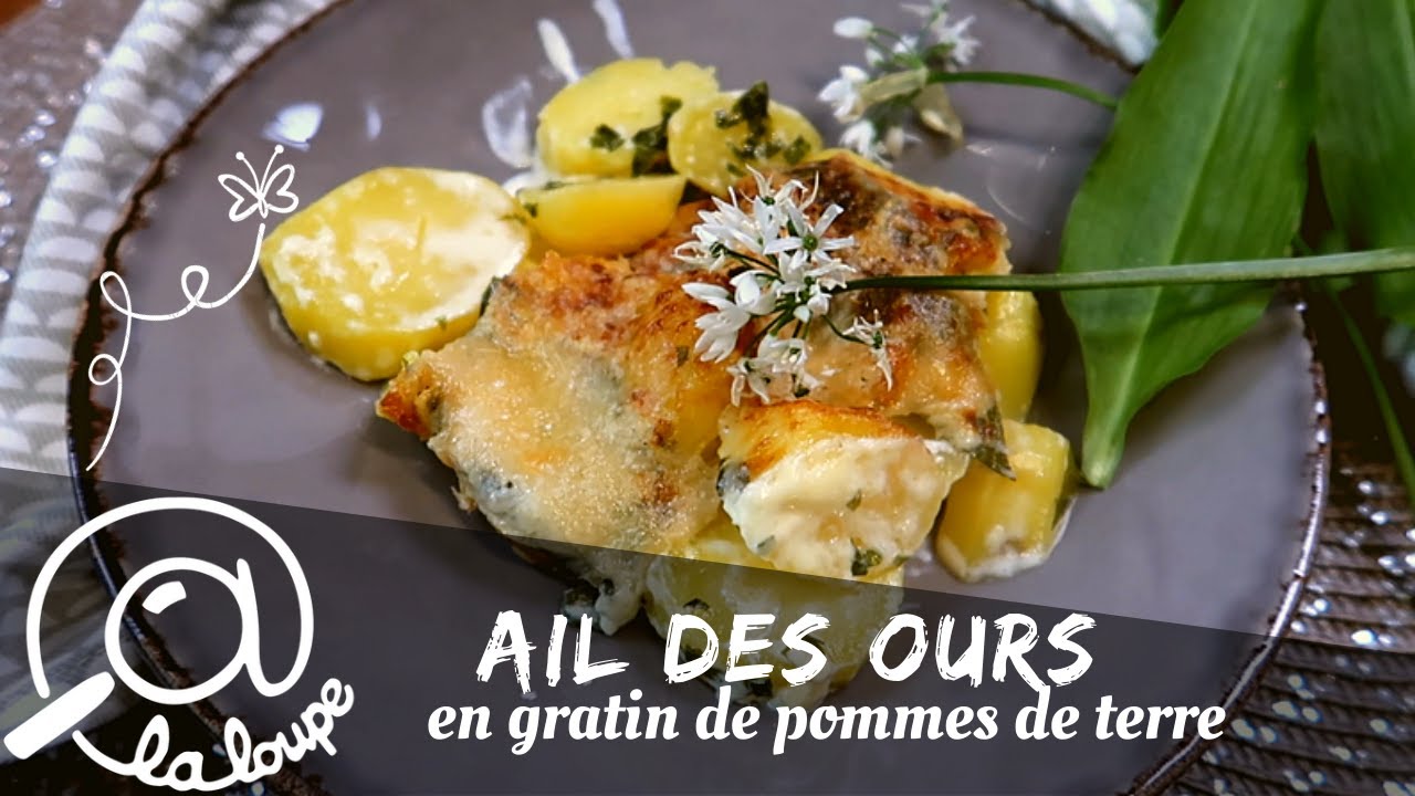 AIL DES OURS EN GRATIN DE POMMES DE TERRE #150