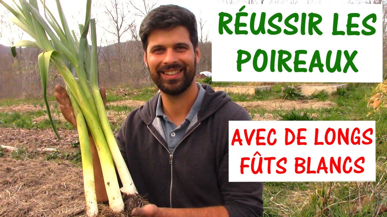 RÉUSSIR LA CULTURE DES POIREAUX
