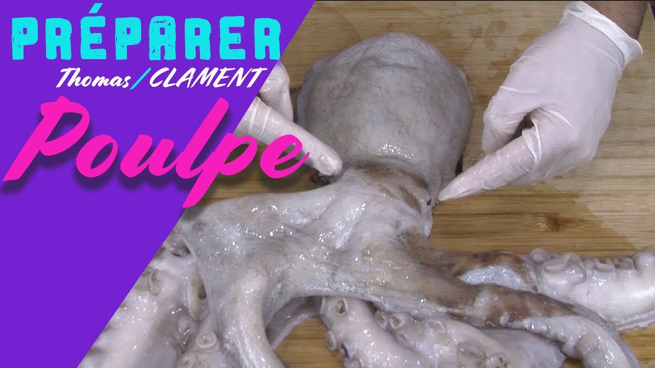 Comment préparer un Poulpe / Thomas CLAMENT