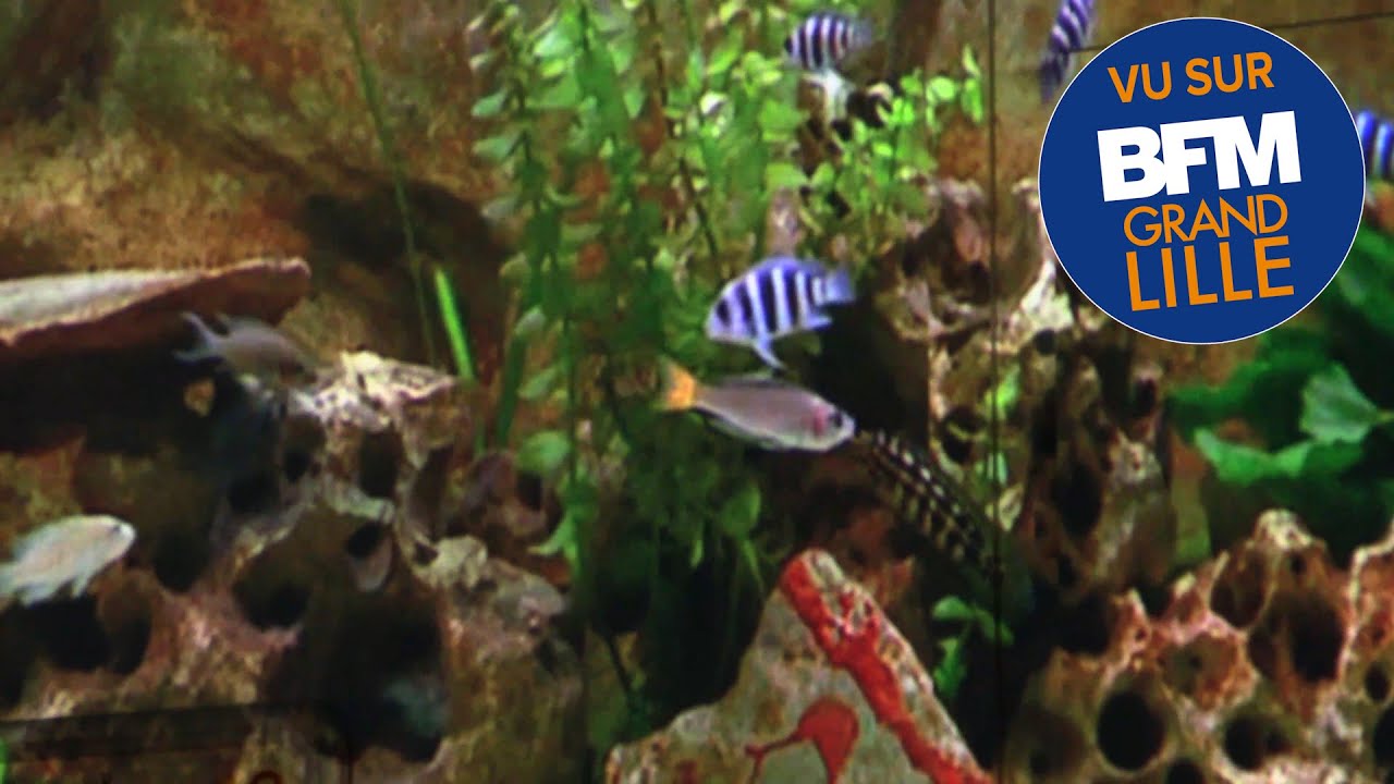 Acquisition d’un chariot Snoezelen en cancérologie à l’Hôpital privé La Louvière.