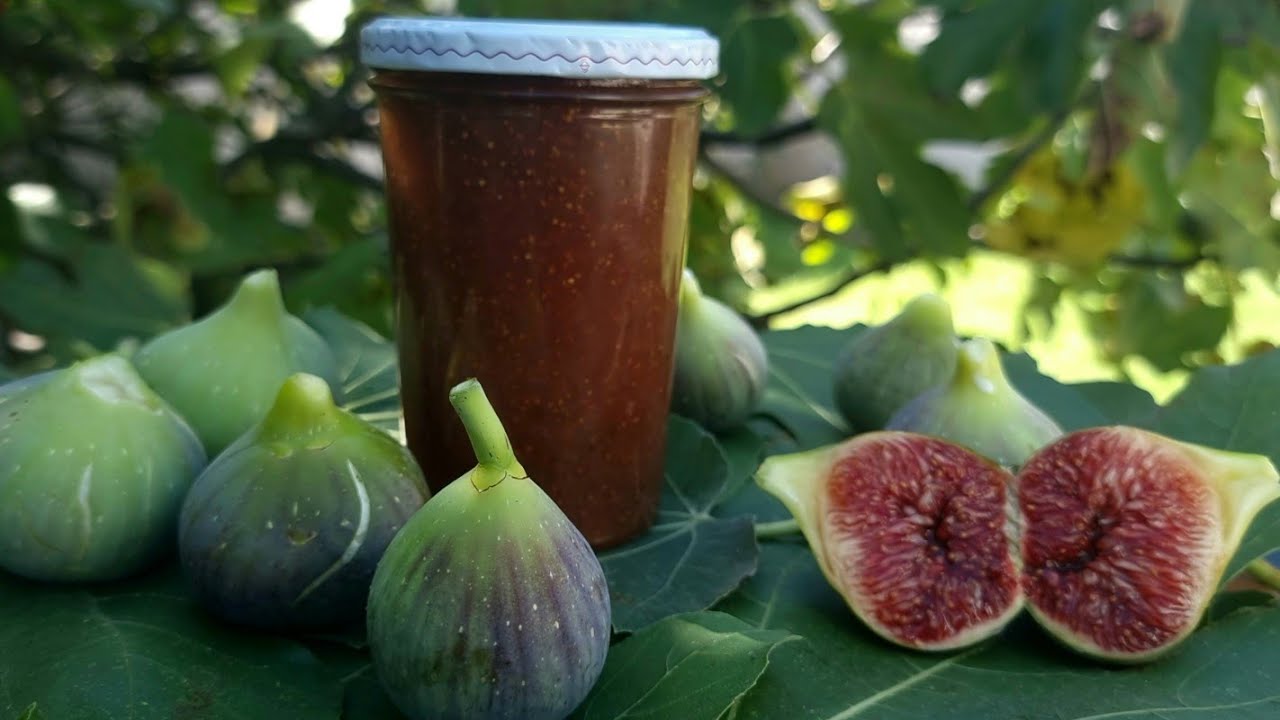 Confiture de figues de grand-mère / figues blanches au zeste de citron à l'ancienne مربى التين