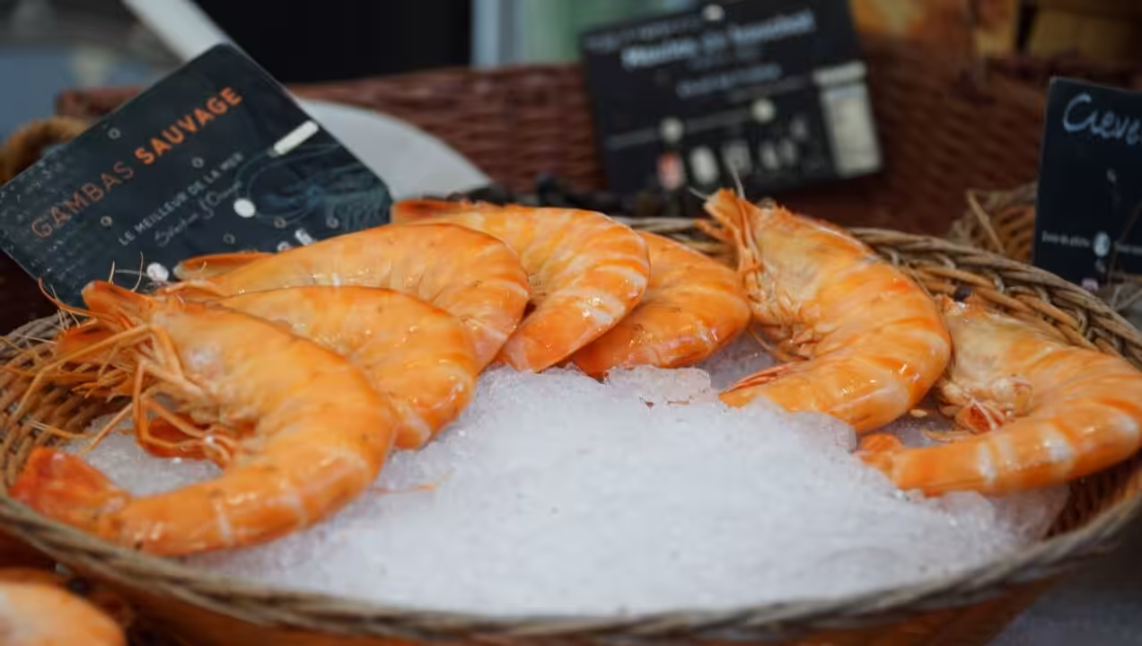 Meilleure recette de saumon au four : citron, ail et moutarde