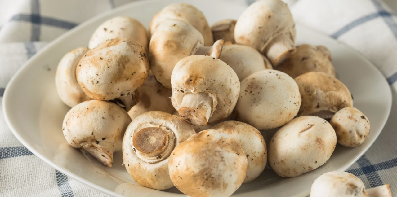 Champignons : 3 recettes gourmandes à essayer