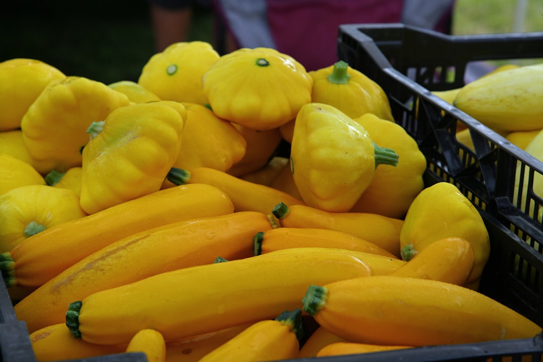Courgettes d’été : découvrez les 5 recettes faciles et gourmandes de Marmiton à tester sans tarder cette saison